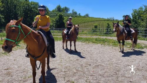 Escursione a cavallo nel cuore del Sannio con vista collinare e aperitivo locale, esperienza per amici e idee regalo a Benevento