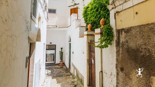 Passeggiata a Capri tra vicoli e Piazzetta durante tempo libero sull’isola dopo arrivo in motonave da Sorrento per coppie e gruppi
