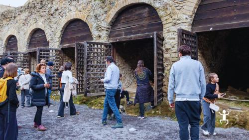 Tour guidato agli Scavi di Ercolano con ingresso prioritario e transfer da Napoli per famiglie e amici