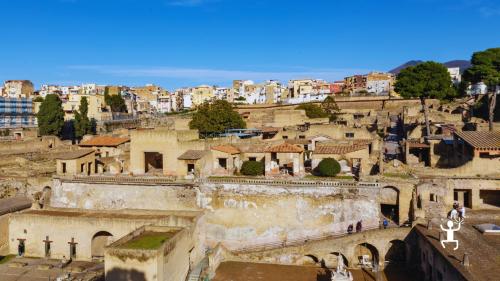Tour agli Scavi di Ercolano con minivan da Napoli tra domus romane e mosaici per famiglie e coppie