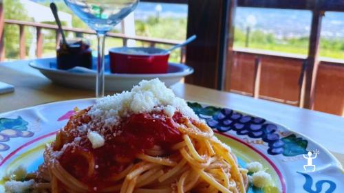 Degustazione di vini campani alle pendici del Vesuvio con sommelier esperto per gruppi e famiglie