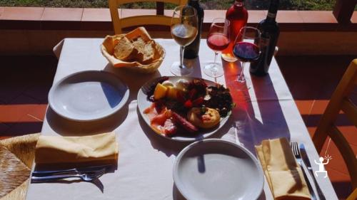 Esperienza tra vigneti del Vesuvio con degustazione Lacryma Christi e sommelier per coppie e gruppi in Campania