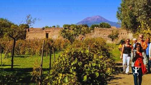 Esperienza in cantina alle pendici del Vesuvio e degustazione di vini campani per amici e gruppi