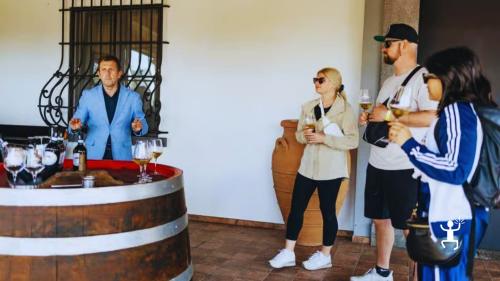 Tour tra vigneti vulcanici e vini del Vesuvio con pranzo locale per famiglie, gruppi e perfetta idea regalo