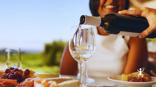 Degustazione guidata di vini campani sul Vesuvio con transfer da Napoli per coppie e gruppi in Campania