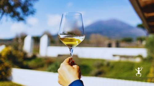 Esperienza in cantina vesuviana con sommelier e pranzo locale per famiglie e piccoli gruppi in Campania