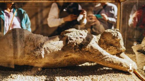 Esperienza tra Pompei e l’antica arte del cammeo vesuviano per famiglie e amici in Campania