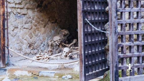 Visita agli Scavi di Ercolano con guida professionale tra storia romana e testimonianze del Vesuvio per famiglie e coppie