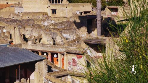 Tour guidato nel Parco Archeologico di Ercolano con ingresso prioritario e racconti storici per coppie e piccoli gruppi