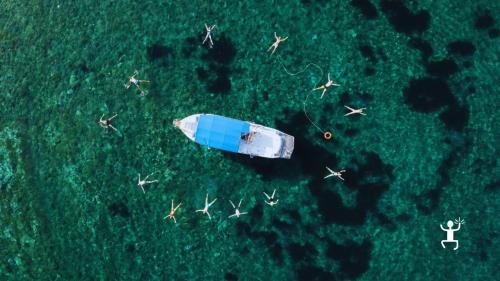 Tour in barca lungo la costa del Cilento tra grotte marine e panorami mozzafiato per addii al celibato in Campania