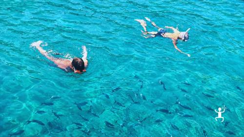 Tour in catamarano tra baie naturali e mare turchese del Cilento ideale per famiglie e amici in Campania