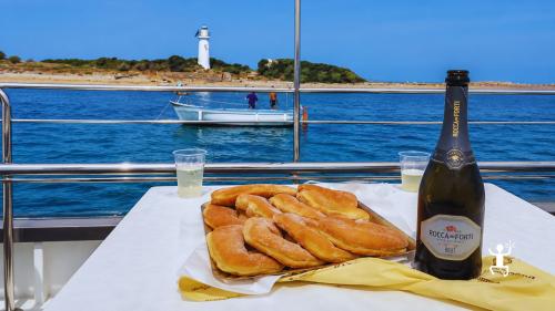 Navigazione tra Punta Fortino e grotte marine della costa cilentana per famiglie e addii al celibato