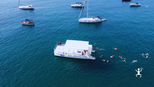 Tour in scafo a motore o catamarano tra Isola di Licosa e Acciaroli ideale per addii al nubilato e coppie