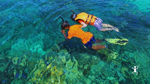 Esperienza in mare tra Punta Tresino e Baia del Saùco ideale per coppie e addii al nubilato nel Cilento