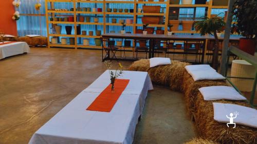 Workshop in serra ad Acerra per coppie e gruppi con semina di basilico, origano e pomodorini in Campania