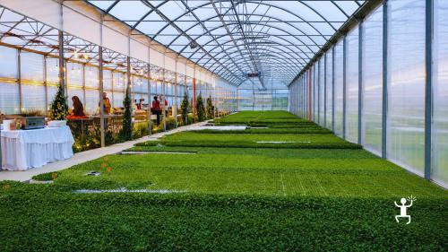 Workshop in serra ad Acerra in Campania per coppie e gruppi tra coltivazioni stagionali, laboratorio agricolo e aperitivo
