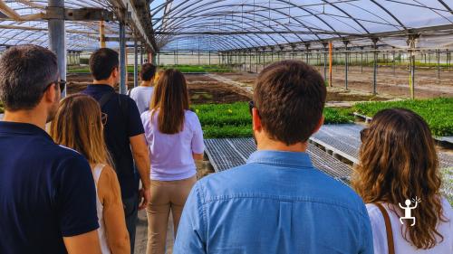 Esperienza agricola autentica vicino Napoli e Caserta per team building e idee regalo con visita guidata in serra