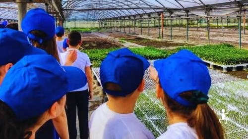 Laboratorio pratico in serra ad Acerra per coppie, famiglie e gruppi con realizzazione di piantine aromatiche