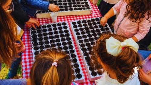 Esperienza nella natura ad Acerra con laboratorio di semina e aperitivo conviviale per gruppi e idee regalo
