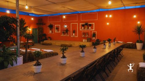 Workshop agricolo vicino Napoli con realizzazione di piantine, visita alle serre e degustazione per team building e gruppi
