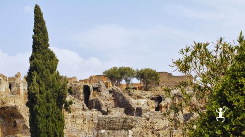 Esperienza agli Scavi di Pompei ed Ercolano con pick-up da Napoli perfetta idea regalo culturale 