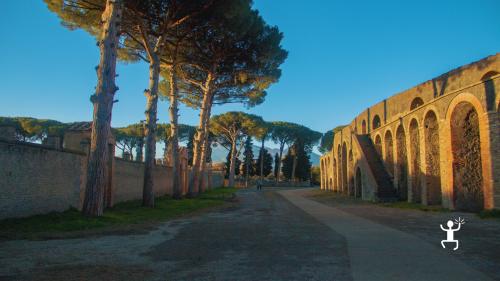 Visita guidata agli Scavi di Pompei ed Ercolano con pick-up da Napoli ideale per coppie,  gruppi e famiglie