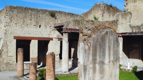 Tour tra Pompei ed Ercolano con ticket salta fila ideale per gruppi famiglie e appassionati di storia romana in Campania