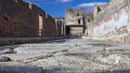 Tour guidato agli Scavi di Ercolano perfetto per coppie gruppi e team building culturali in Campania