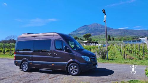 Tour da Napoli a Pompei e degustazione vini del Vesuvio per coppie, gruppi e team building in Campania