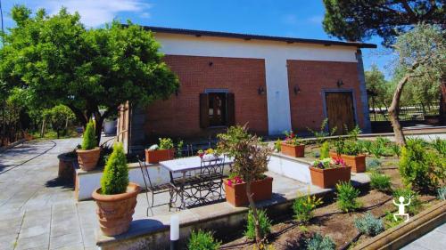 Esperienza tra patrimonio UNESCO di Pompei e cantina del Vesuvio con degustazione di prodotti tipici per coppie e famiglie