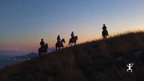 Passeggiata a cavallo in notturna sotto le stelle nella Penisola Sorrentina, ideale per coppie e amanti della natura