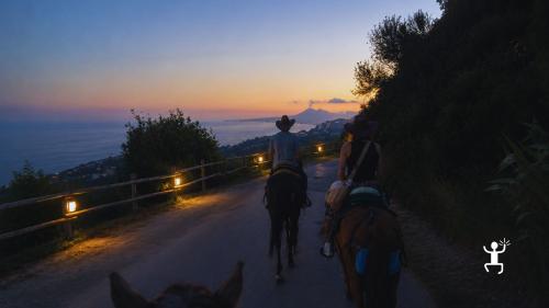 Passeggiata a cavallo lungo Via Canale e gli antichi lavatoi illuminati a Sorrento, ideale per chi cerca esperienze autentiche