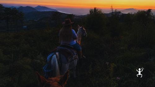 Passeggiata a cavallo tra boschi e sentieri della Penisola Sorrentina nelle ore serali, perfetta idea regalo in Campania