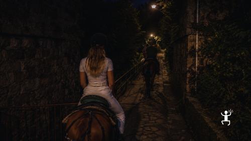 Cavalcata serale nella pineta accompagnata dal volo delle lucciole, perfetta per vivere una magica notte d'estate in coppia