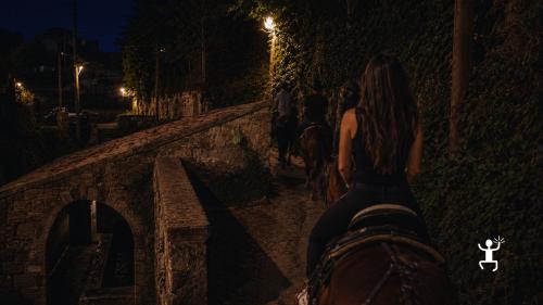 Passeggiata a cavallo sotto le stelle nella Penisola Sorrentina, perfetta anche per chi è alla prima esperienza a cavallo