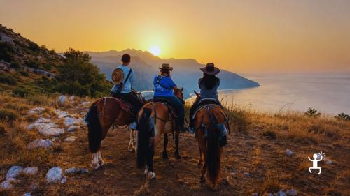 Balade à cheval au lever du soleil sur les sentiers panoramiques de Massa Lubrense, idéale pour les petits groupes et les voyageurs aventureux