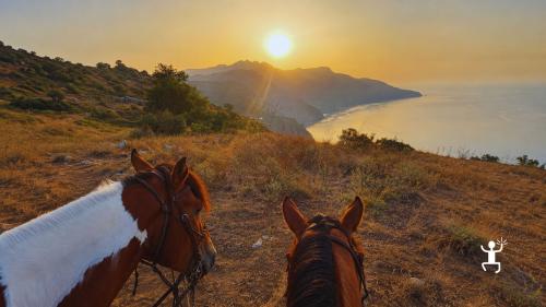 Expérience à cheval aux premières lueurs du jour entre mer, collines et sentiers de Sorrente, idéale comme idée cadeau originale