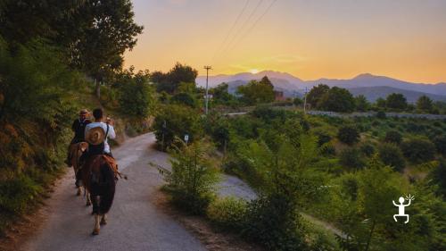 Excursion à cheval au lever du soleil accompagnée par des guides équestres qualifiés, idéale pour les groupes d’amis et les vacances spéciales