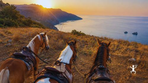 Balade à cheval sur le Sentier des Sirènes entre nature et panoramas côtiers, idéale pour les couples et les familles