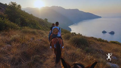 Excursion à cheval au lever du soleil à travers les paysages de la péninsule de Sorrente, idéale pour les couples et comme idée cadeau