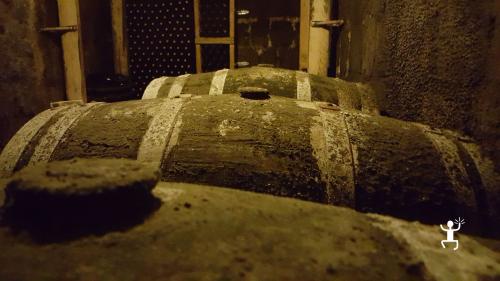 Fass zur Reifung von Naturweinen im Keller des Weinguts in Castelvenere.