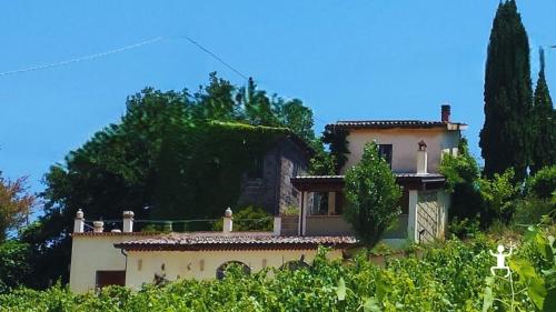 Historisches Weingut inmitten von Weinbergen im Weinbaugebiet Sannio bei Benevento.