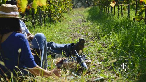 Aglianico del Taburno DOCG in Campania per una degustazione in Cantina 