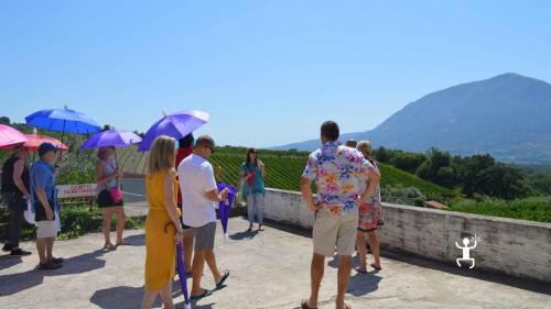 Tour enogastronomico nel Sannio in Campania