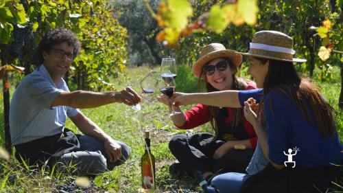 Esperienze in Campania tra i vigneti del Sannio con degustazione vini tipici locali