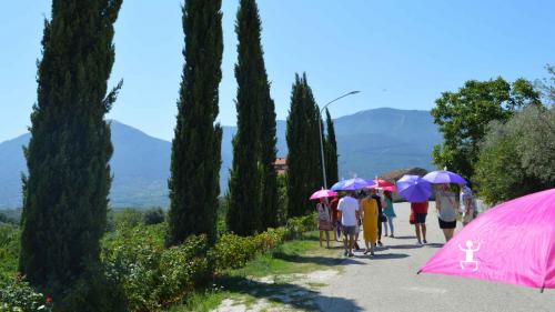 Enogastronomia in Campania con tour tra le cantine del Sannio 