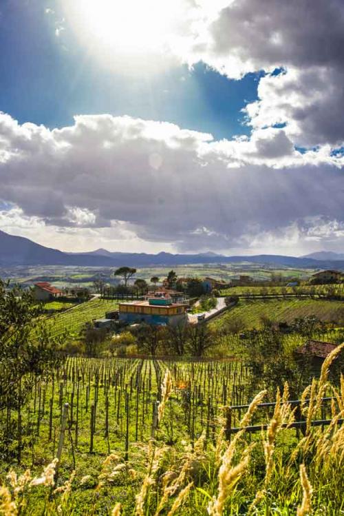 Cantine in Campania nel cuore del Sannio Beneventano 