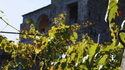 Esperienza per team building in Campania – tour guidato in cantina biologica con padre enologo e figlio sommelier