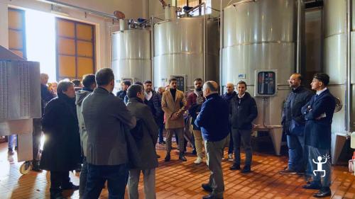 Esperienza enologica in Campania – scoperta dei vini DOC senza solfiti in cantina biologica, ideale per gruppi di amici
