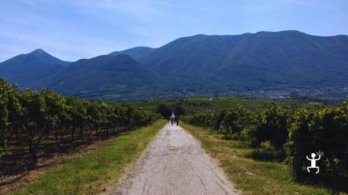 Momento conviviale perfetto per addii al celibato e nubilato, team building o weekend di coppia – degustazione di vini locali